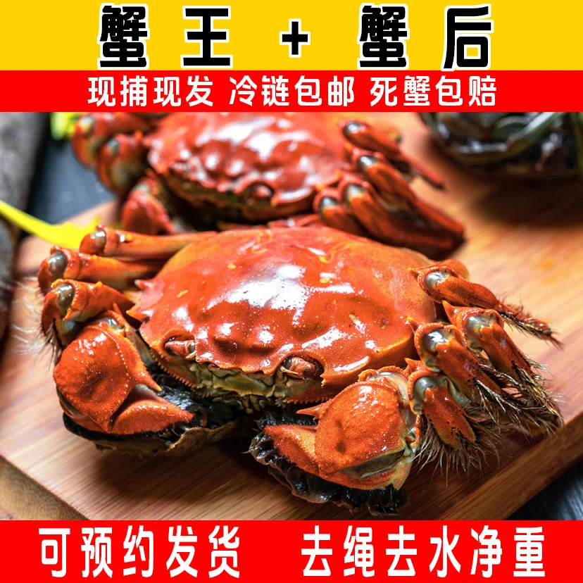 【活蟹8只送2只】公蟹4.0-3.7两母蟹3.0-2.7两10只年货苏州大闸湖蟹
