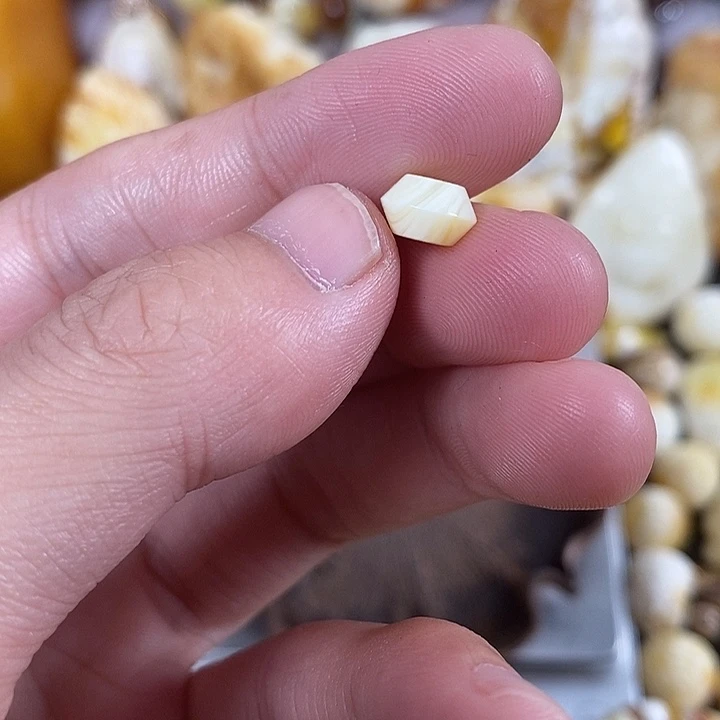 琥珀未镶嵌裸石我