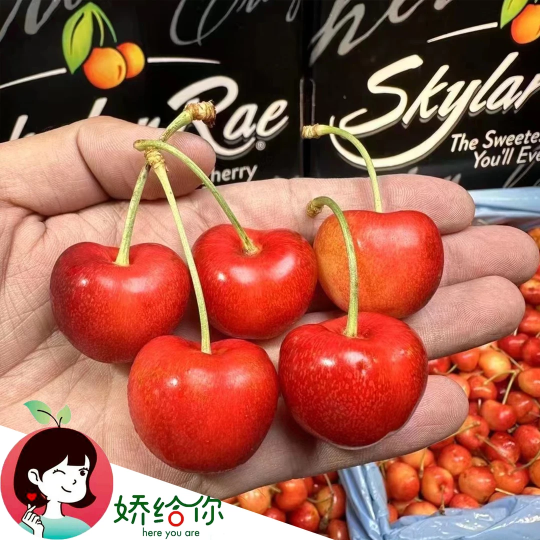 【顺丰包邮】美国斯凯拉雷天空之城黄金车厘子双J1斤/2斤/4斤分装