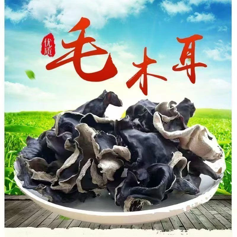 特产头茬毛木耳东北肉厚新货头茬干净无沙