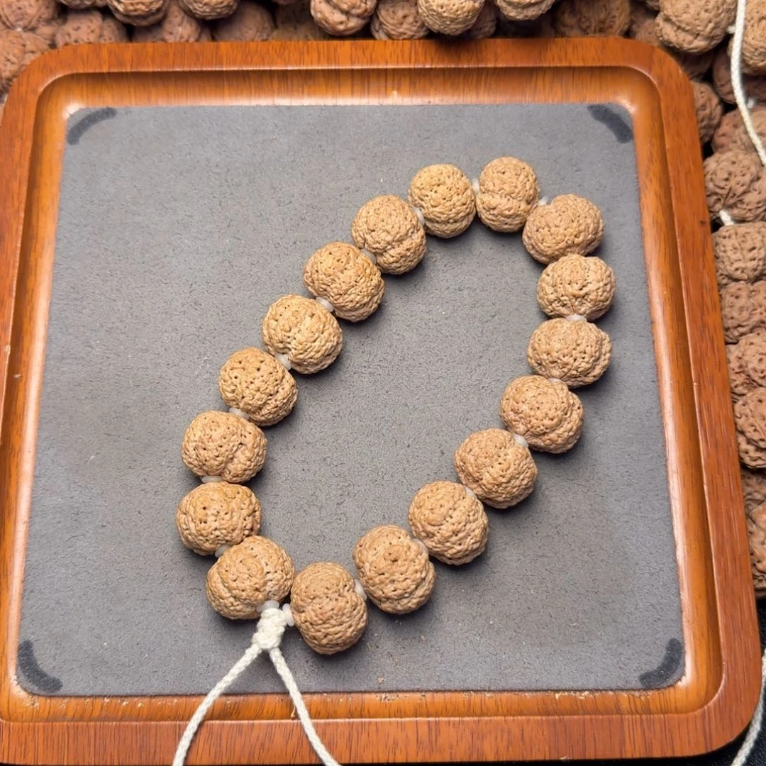 11号尼泊尔大金刚20五星熊猫菠萝蜜