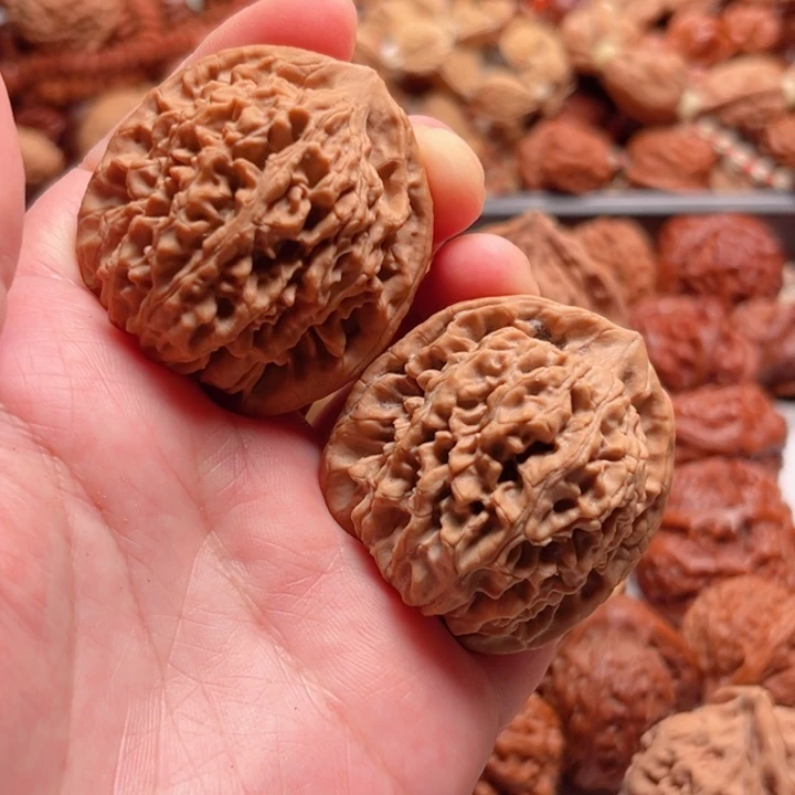 把件文玩核桃41尺寸花魁树头