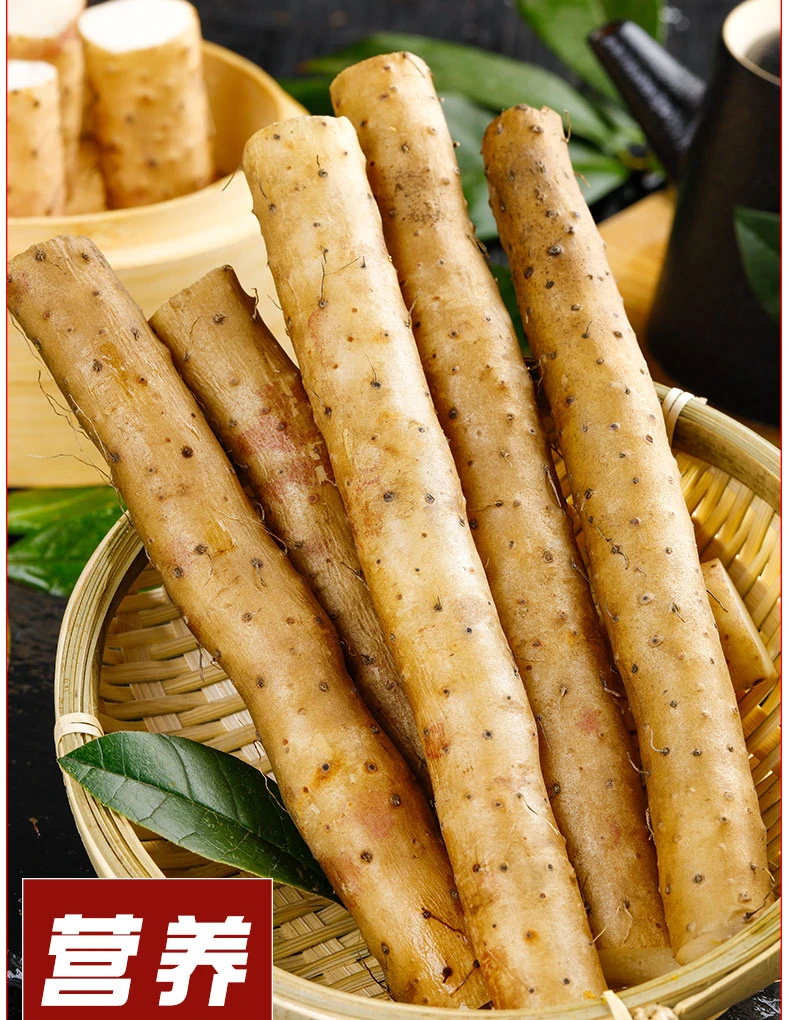 【二舅奶专属】农产品新鲜山药正宗小白嘴河北铁棍山药铁棍香甜