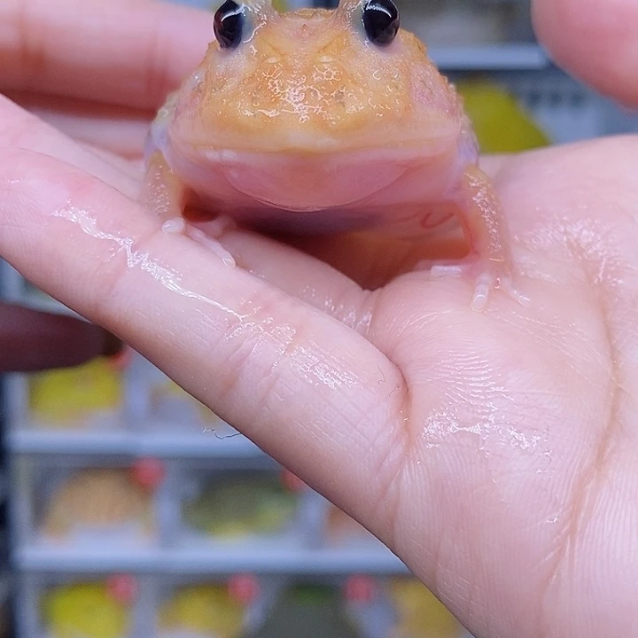 特价秒杀现货特价