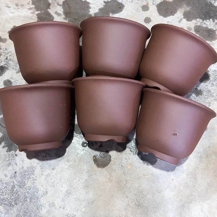 13×10六只福利款小京中