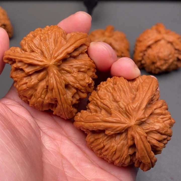 太***子木质类核桃核桃核桃