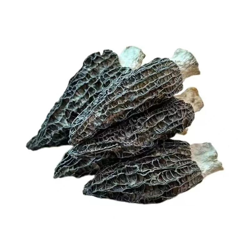 云南大自然羊肚菌