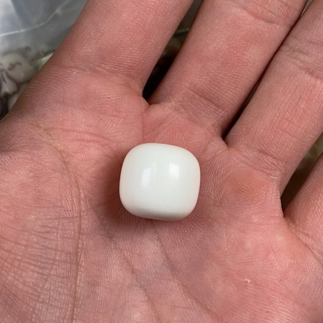 手串/手链驼骨1.6尺寸鹿角,10
