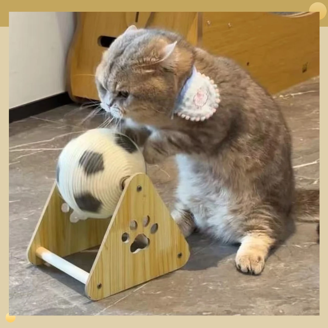 立式滚球木质猫抓板耐磨不掉屑剑麻防猫抓自嗨磨牙磨爪猫爬架GGW
