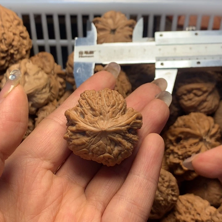 心***大文玩核桃把件核桃