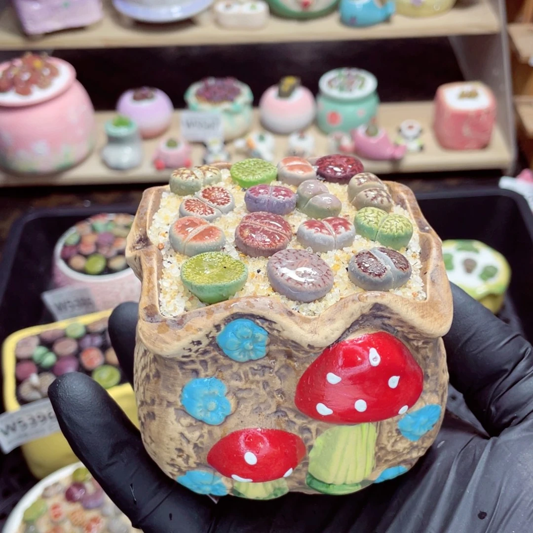 夜间零下地区拍保温箱w5560