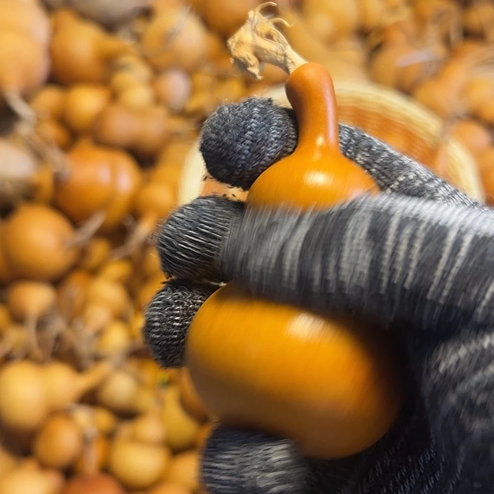 夏***意不退不换运输中不保龙头完美主义者勿拍