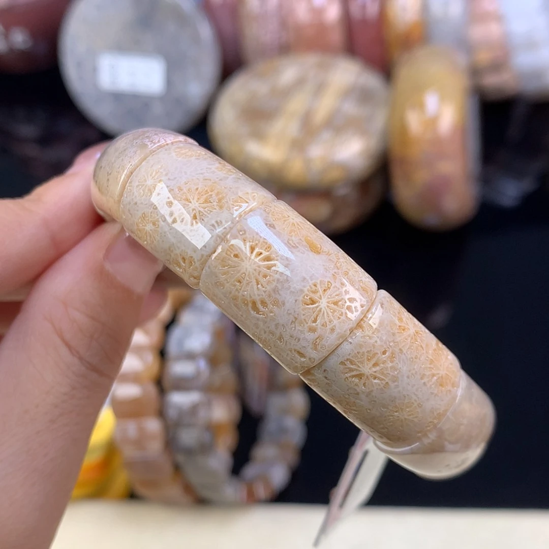 【闪购商品】颈饰未镶嵌硅化珊瑚（珊瑚玉）福利手牌16号