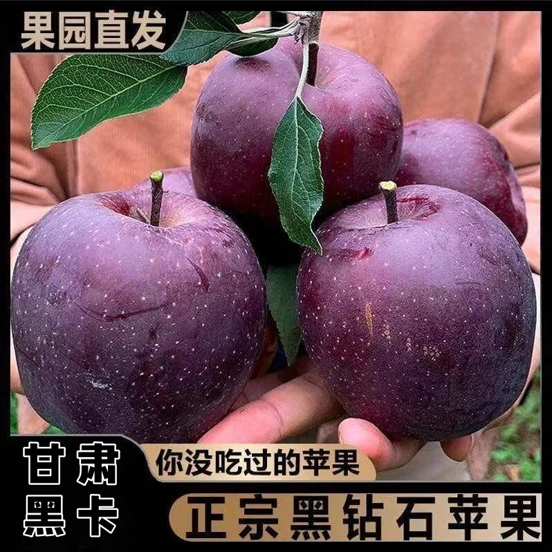 甘肃黑卡苹果鲜果黑钻黑色纯甜新鲜水果3/9斤宝宝辅食香甜粉面