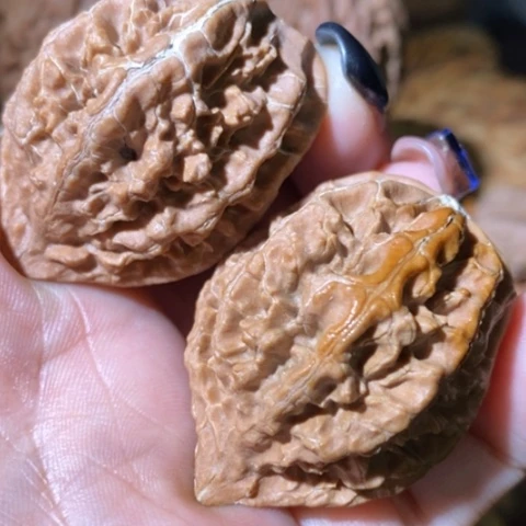 把件文玩核桃东北野生楸子小美35