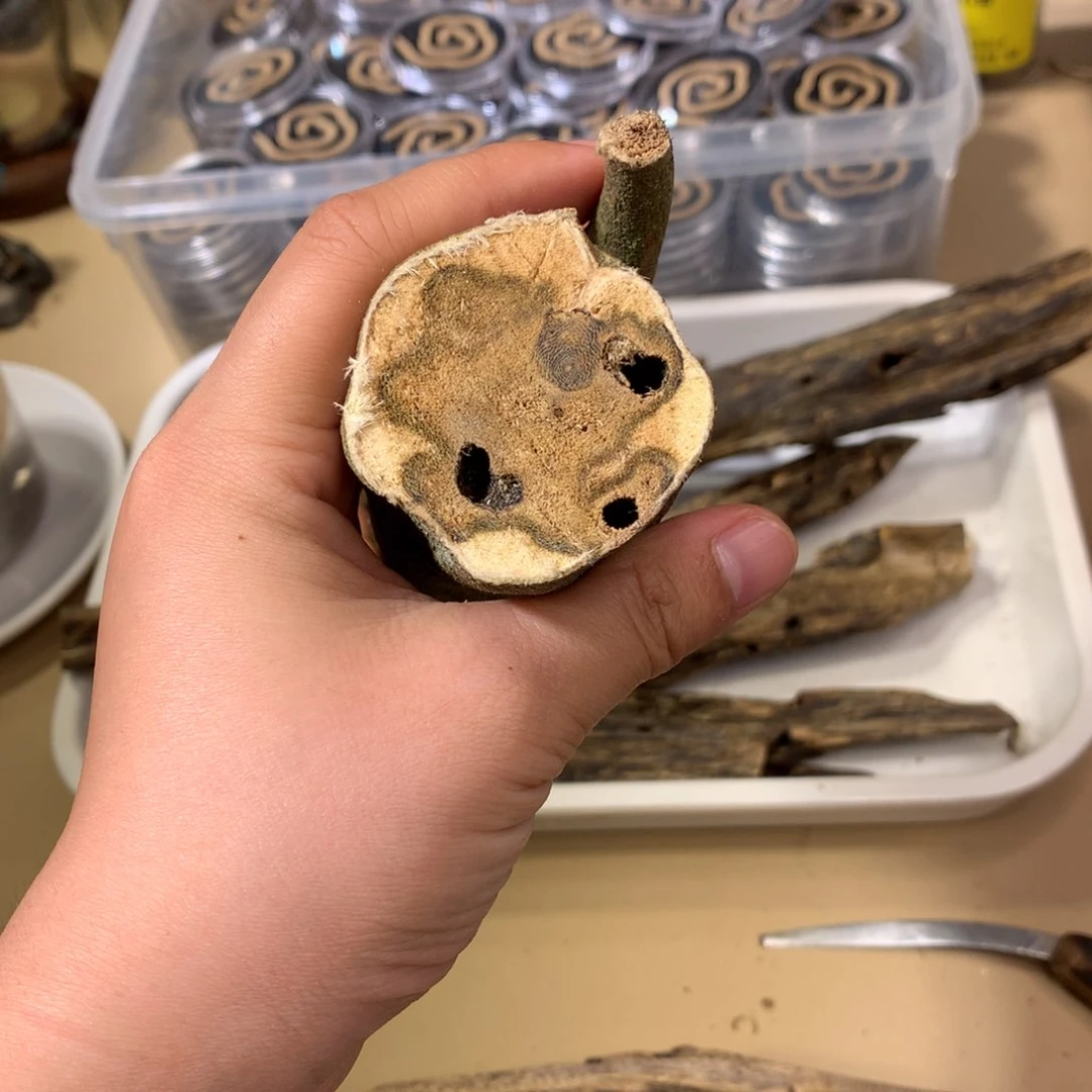 沉香碎屑沉香泓**瑟奇楠沉香熏香金沙叶虫漏