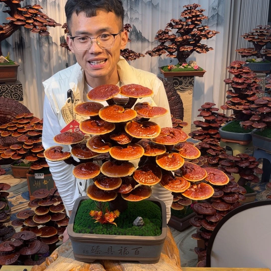 无花朵888888888888