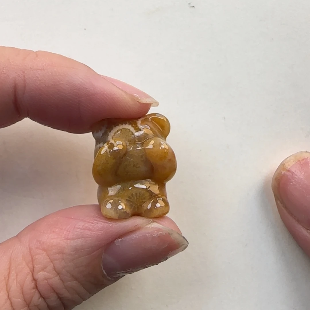 硅化珊瑚（珊瑚玉）未镶嵌颈饰