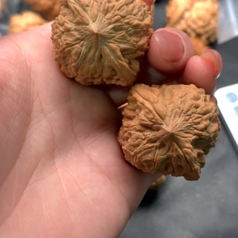 文玩核桃吊坠和尚头