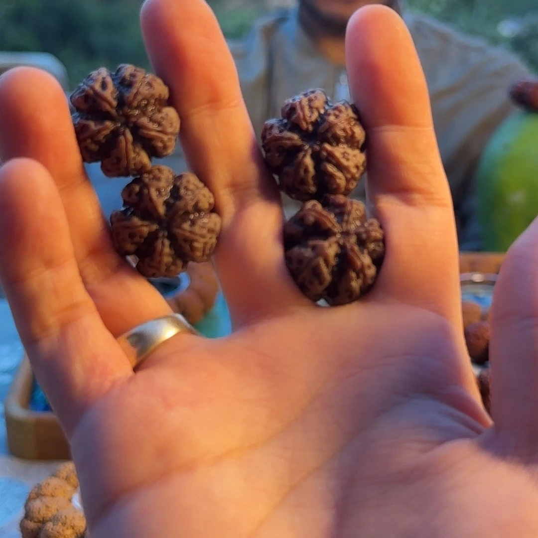 手串金刚菩提牛血红梁梅花金标23毫米