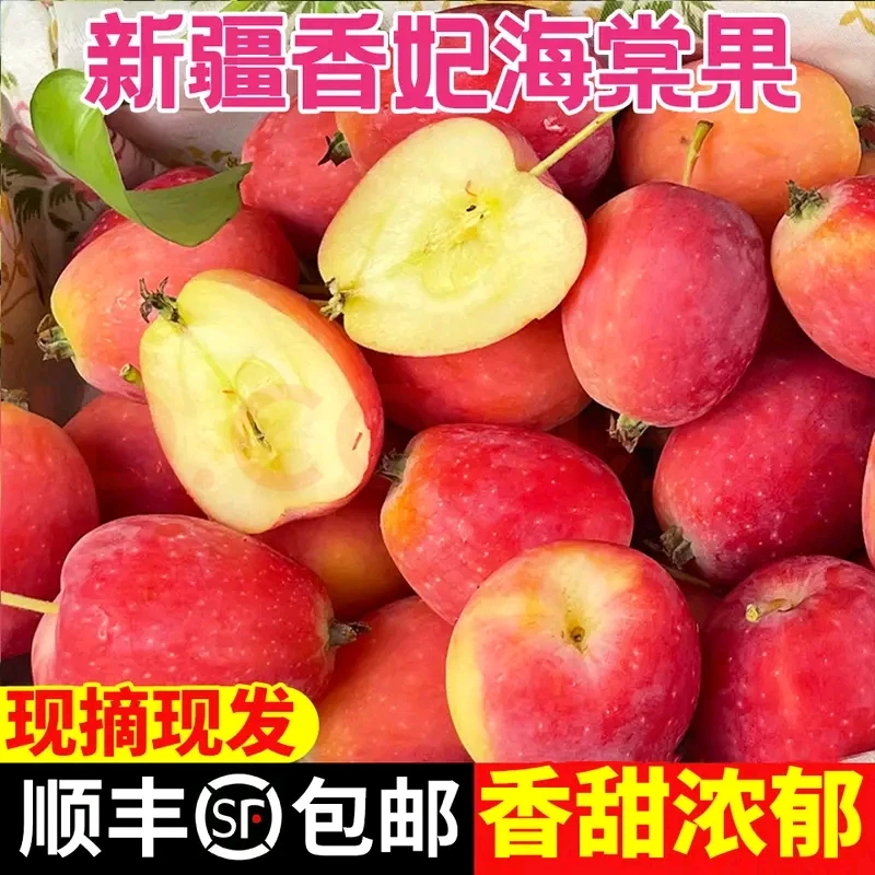 新疆特产香妃海棠果 伊犁鸡心海棠果鲜果小红苹果酸甜水果