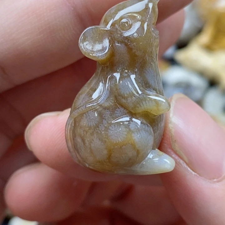 颈饰未镶嵌硅化珊瑚（珊瑚玉）