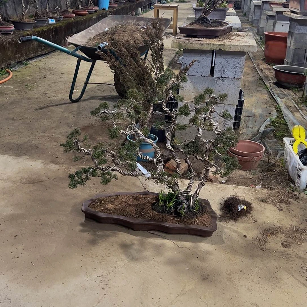 济州济州济州济州