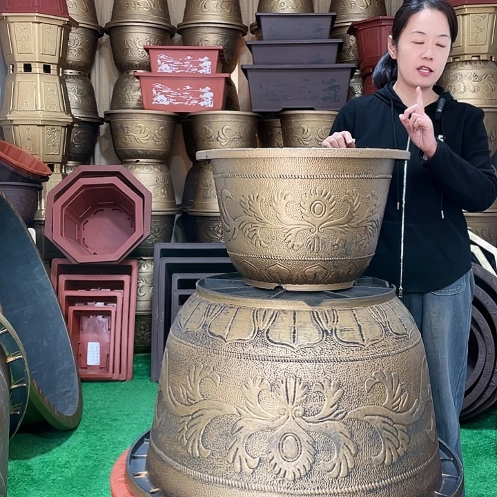 圆盆古铜五零一个