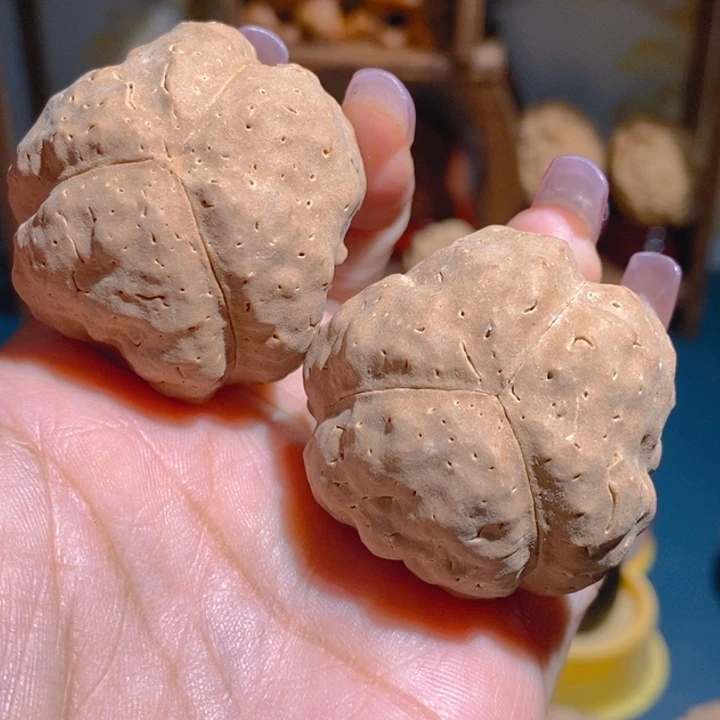 黄金南瓜金刚手球4242