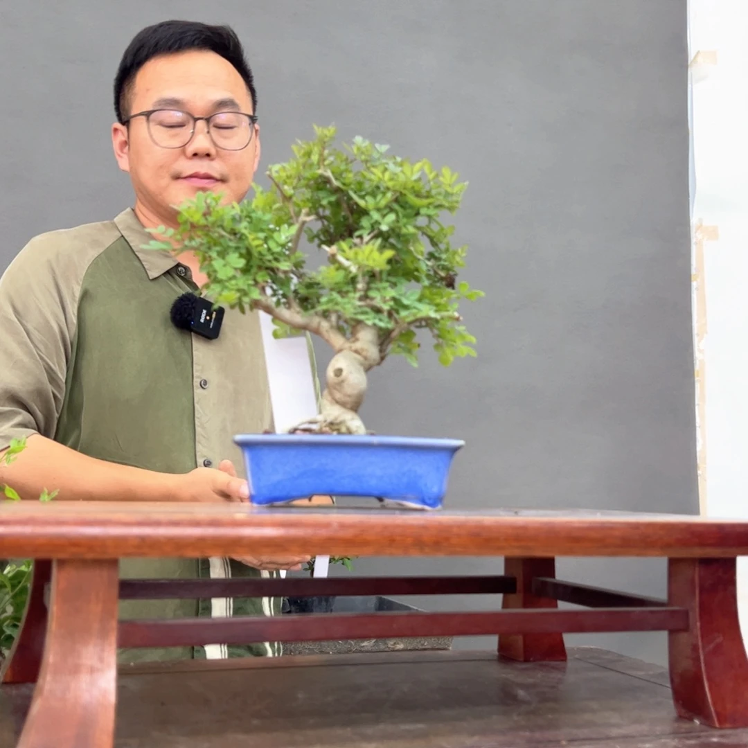 明**景103顺丰到付。