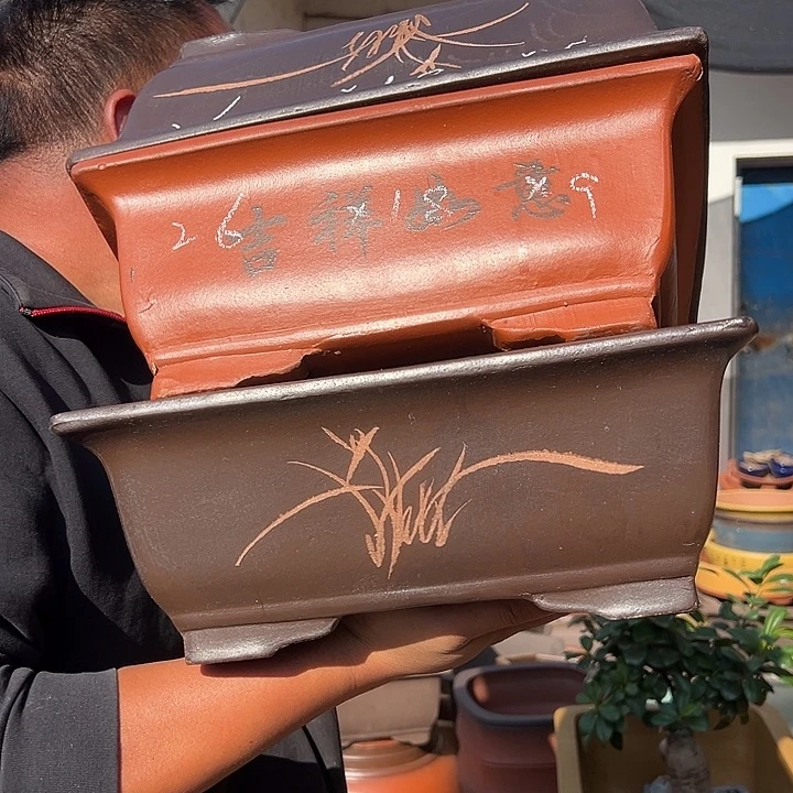 紫砂花盆紫砂花盆