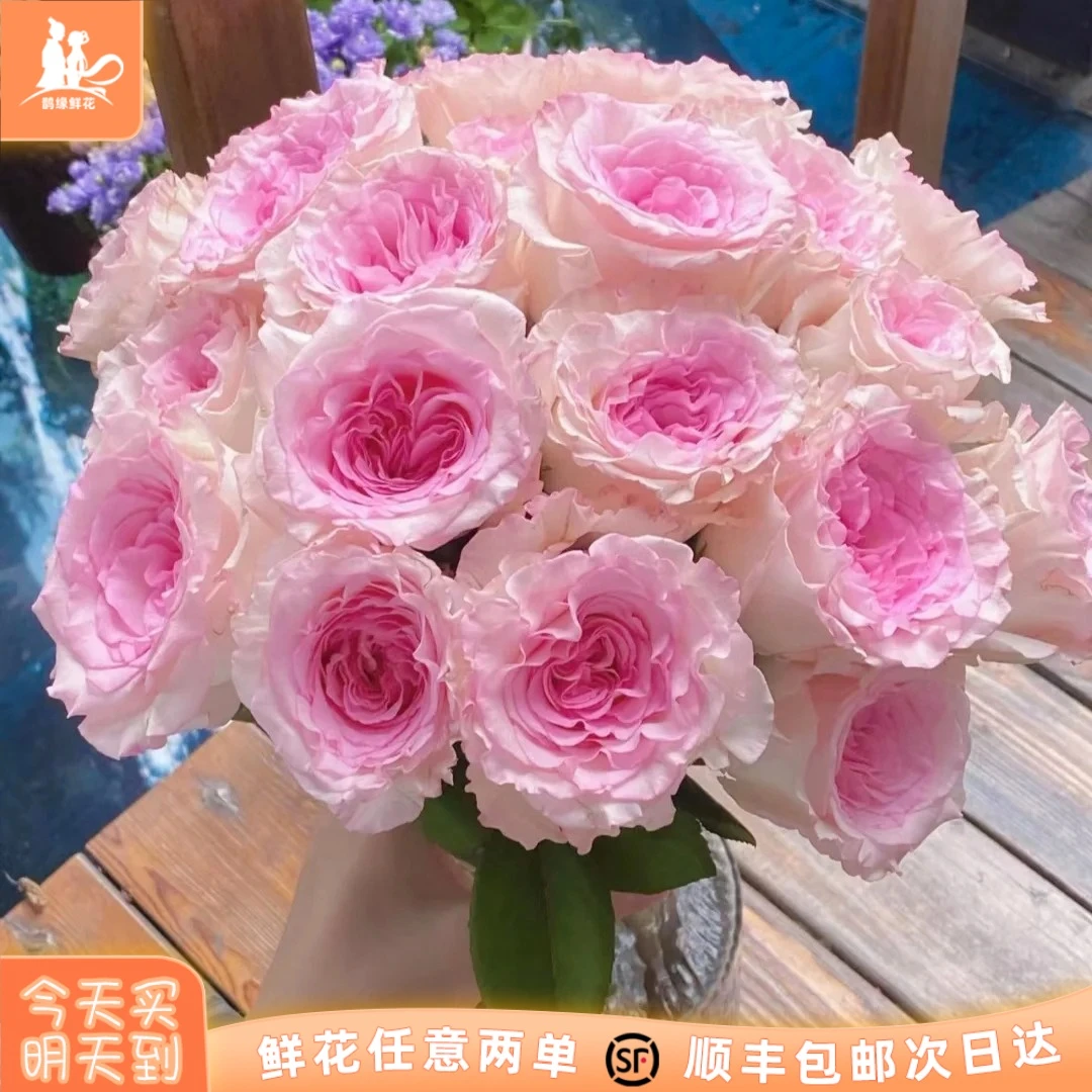 次日达-【洛神玫瑰】10枝洛神玫瑰鲜花批发直播任意两单升级顺丰包邮三单送随机花瓶一个今天拍明天到
