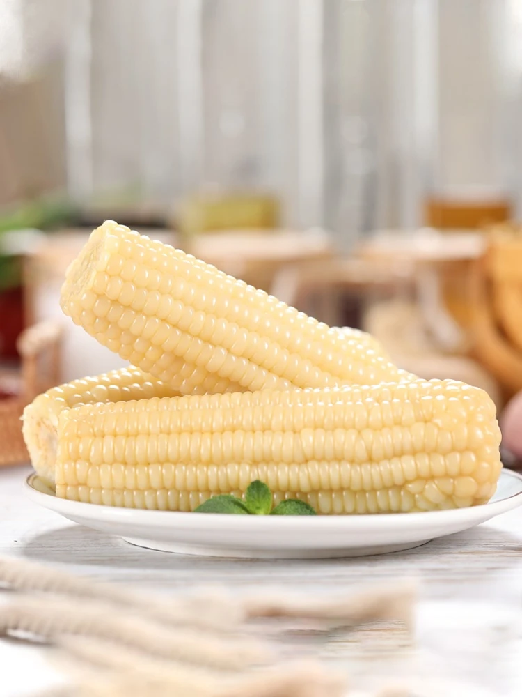 当季新糯玉米即食糯玉米北纬46度东北甜玉米玉米糯玉米玉米糯玉米