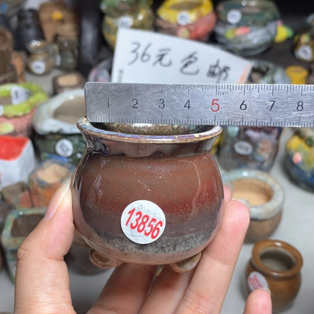 拍四送一个同款，