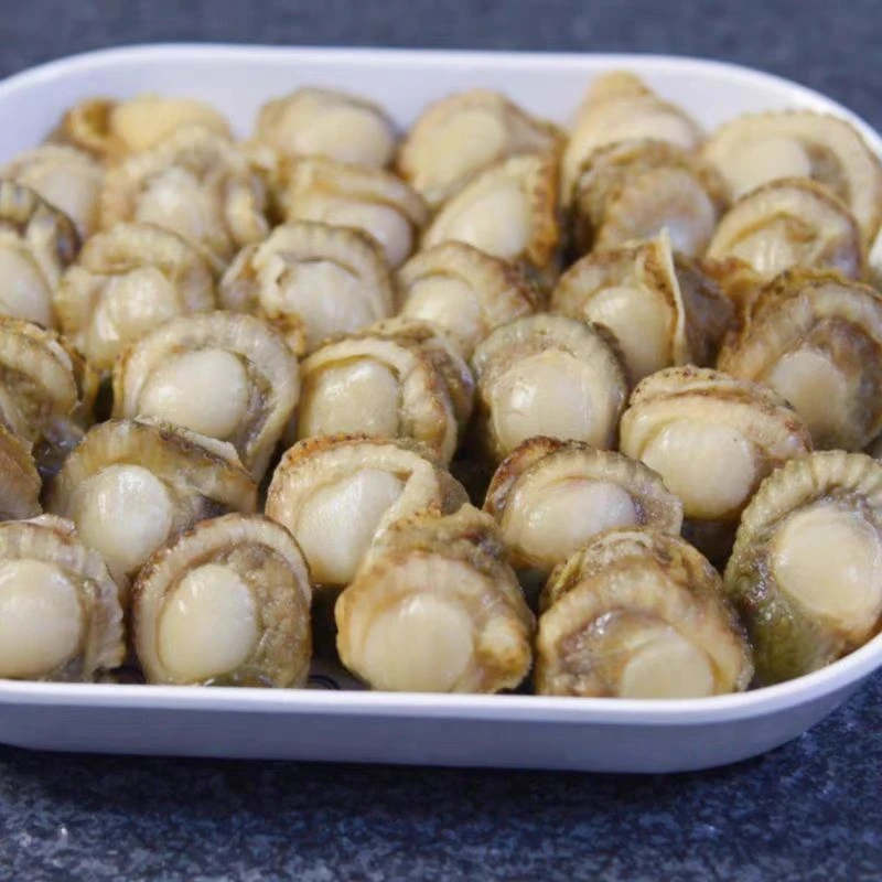 新鲜黄贝肉纯肉海港湾贝