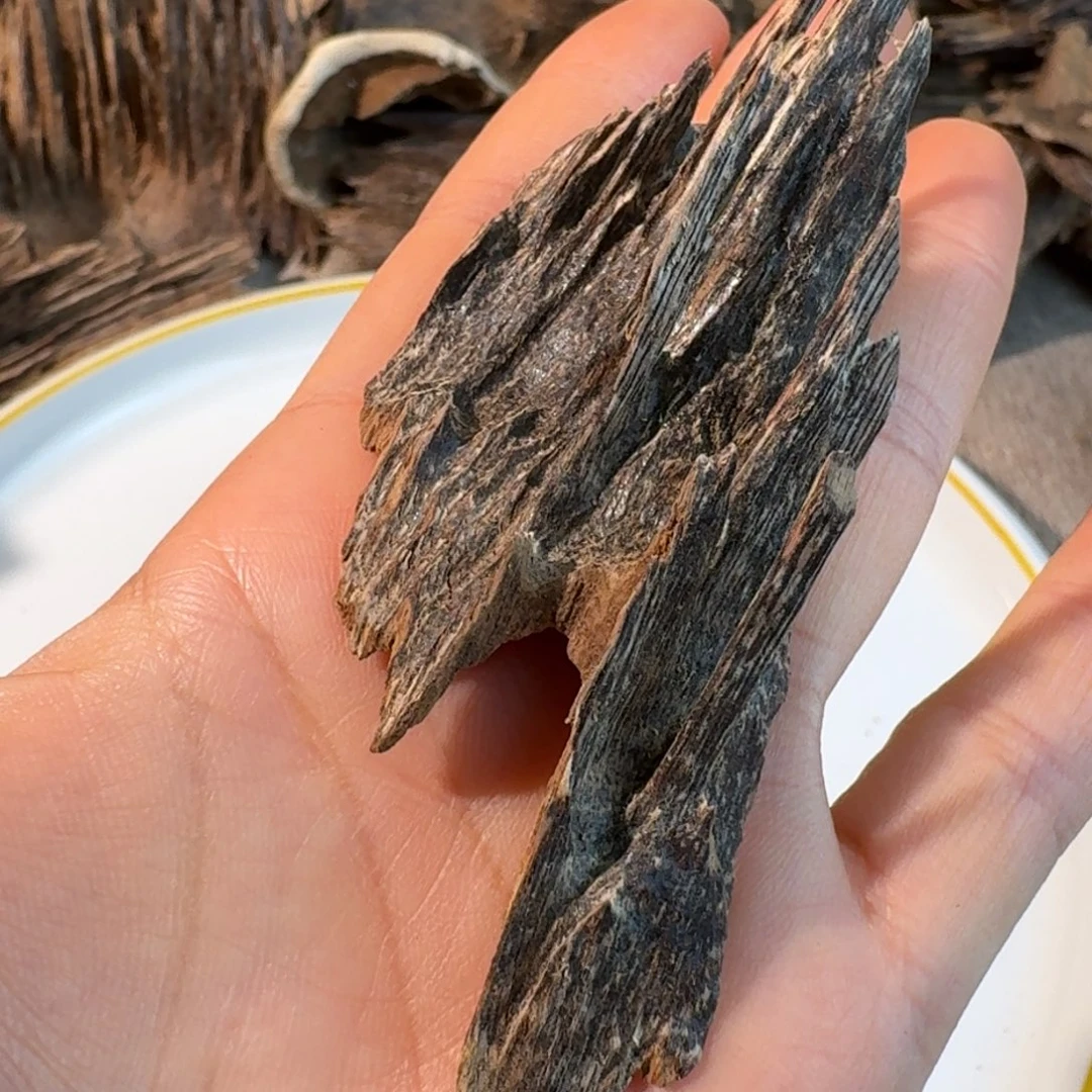 沉香沉香碎屑香港树心齿一块4.2