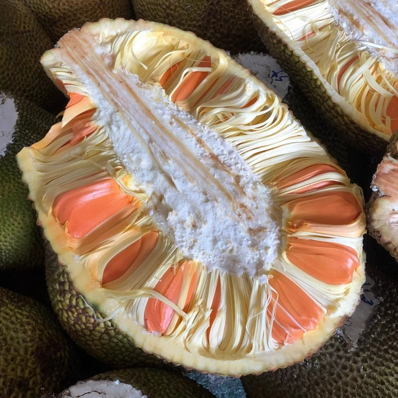 越南进口印尼红肉菠萝蜜【一物一拍】顺丰/EMS空运发货