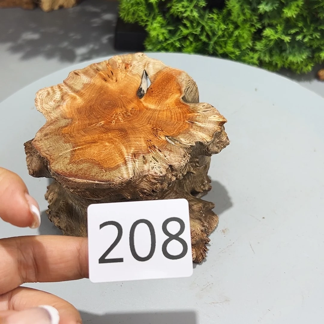 梨木小*火琉璃……