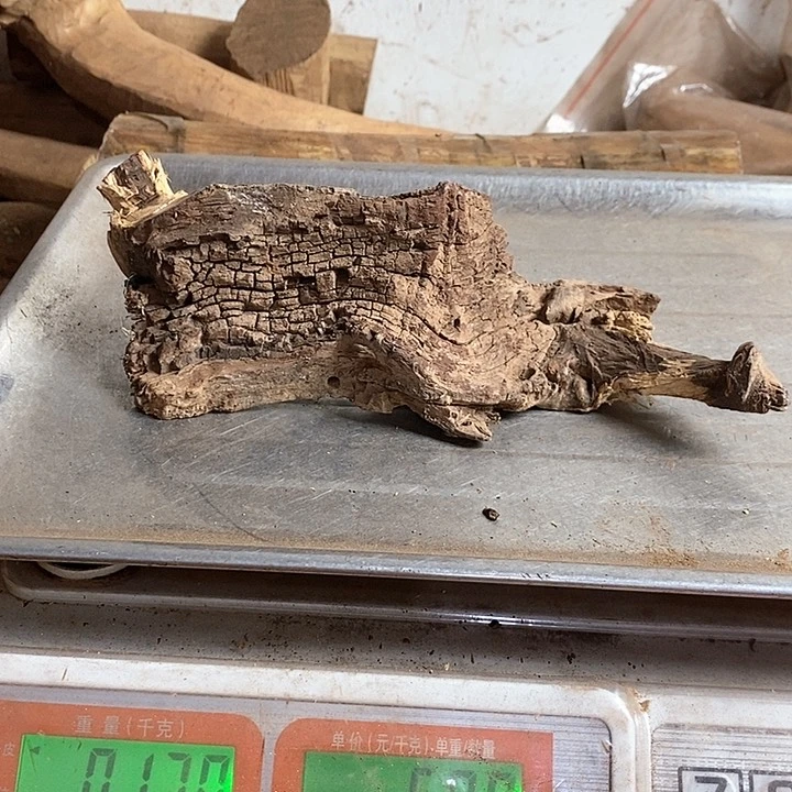 黄花梨/降香黄檀炎***园