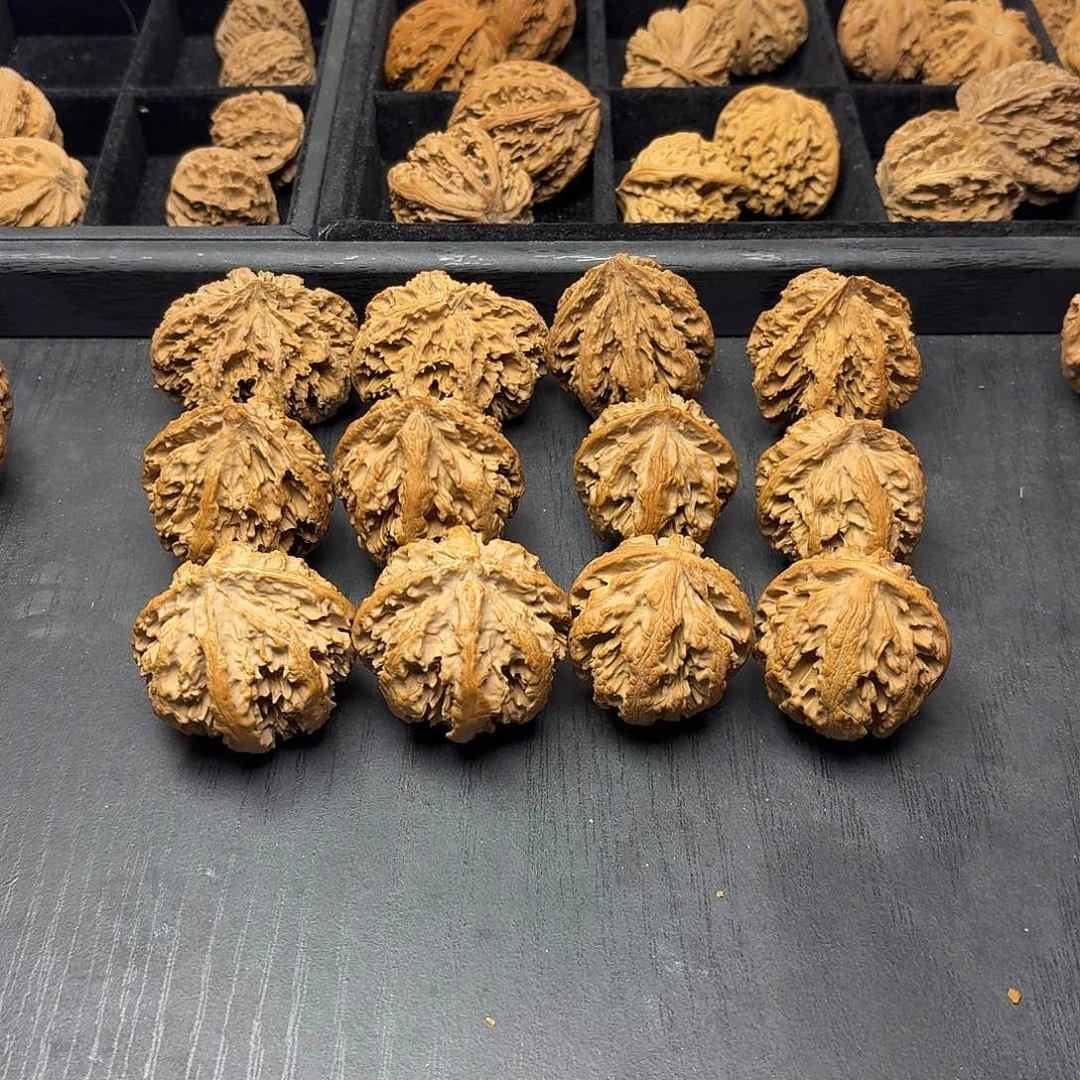 桃木突突突突突突突突