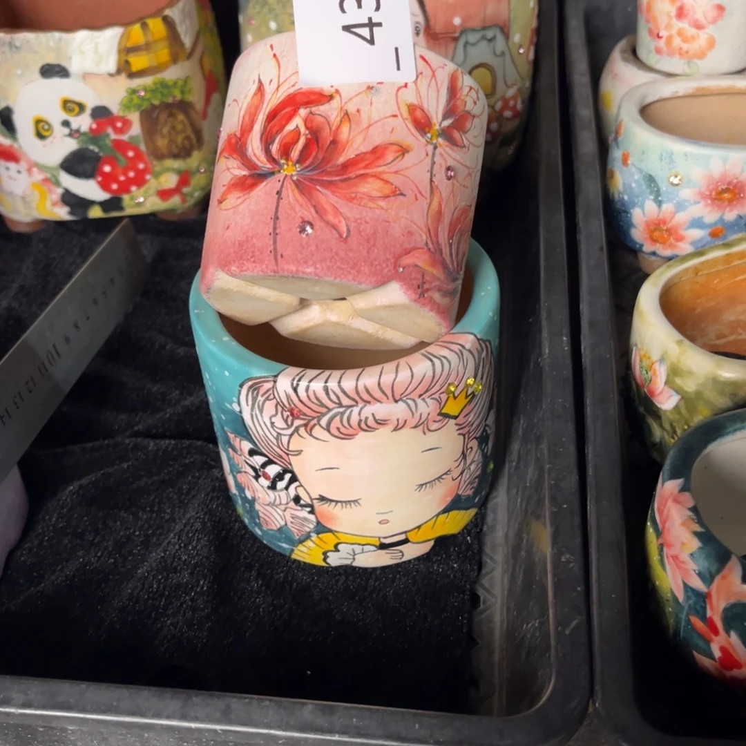 豆***贝434多肉花盆35元2个