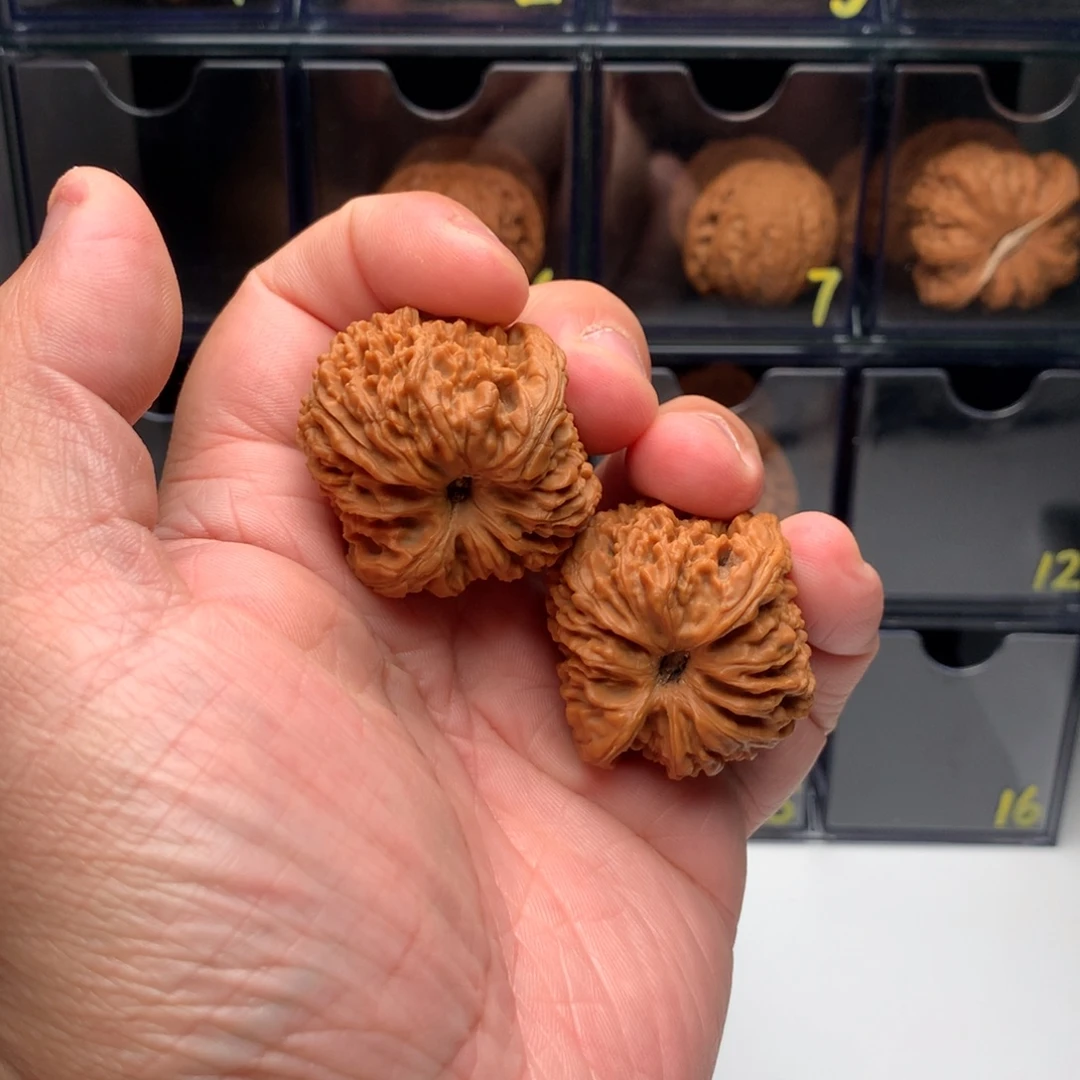 嘟***嘟桃核吊坠文玩核桃123456789