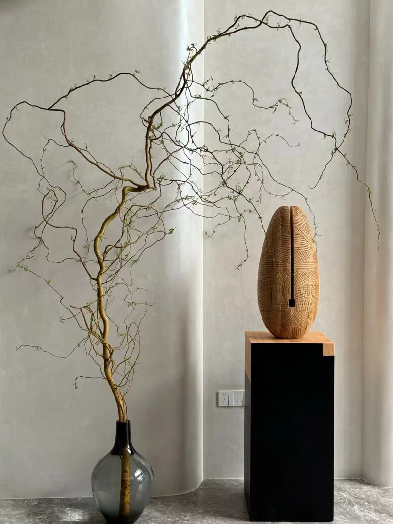 国风龙柳 鲜枝插花客厅水培植物 客厅上档次花材