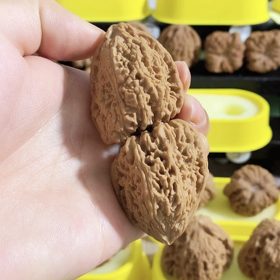 木质类今天的我是个