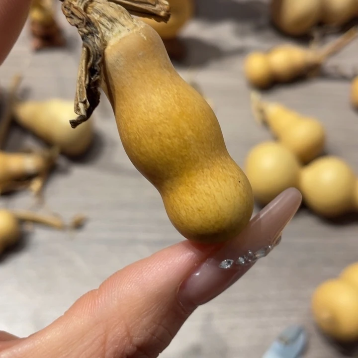 喜****给葫芦葫芦葫芦葫芦