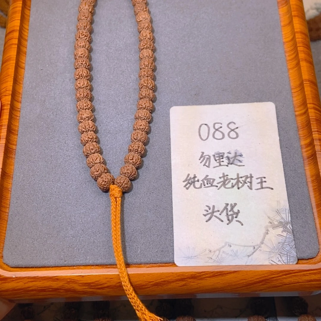 吊坠金刚菩提088头货勿里达纯血老树王9.2