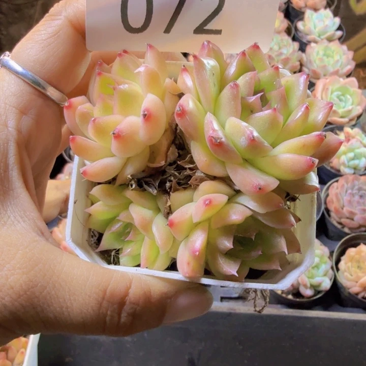 072.qqqqqqqqqqqqqq