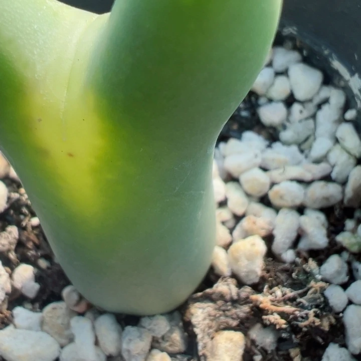 其*山321号1111111111111111