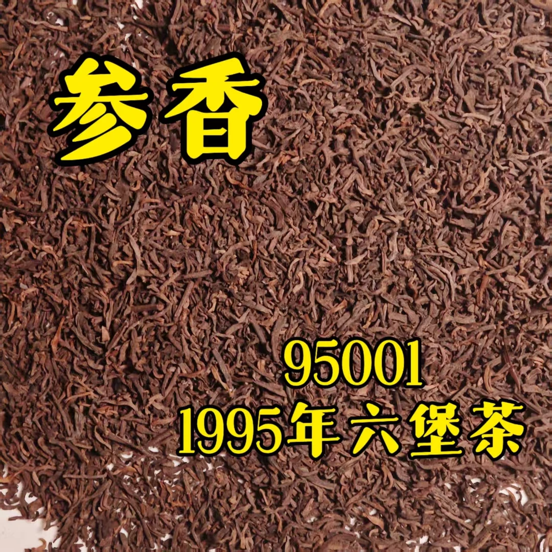 100g 95001桂青种原种参香 1995年六堡茶散茶
