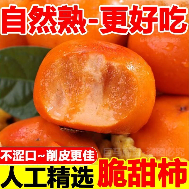 山西阳丰脆柿巧克力柿子新鲜当季水果口感脆甜多汁产地直发